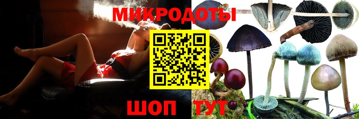 Ялта  Псилоцибиновые грибы Psilocybine cubensis  Псилоцибиновые грибы прущие грибы  Вход с VPN 